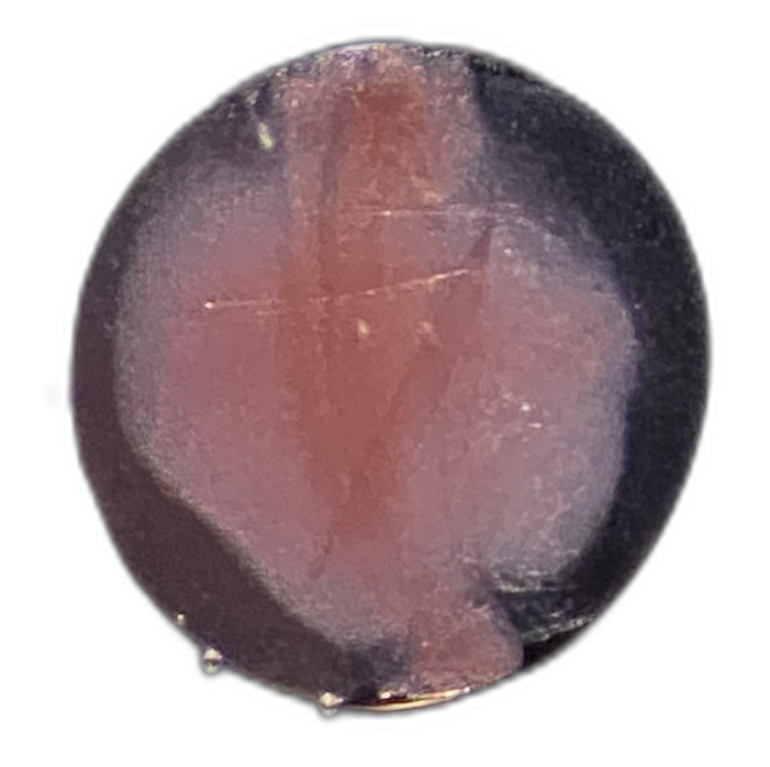 Specimen image