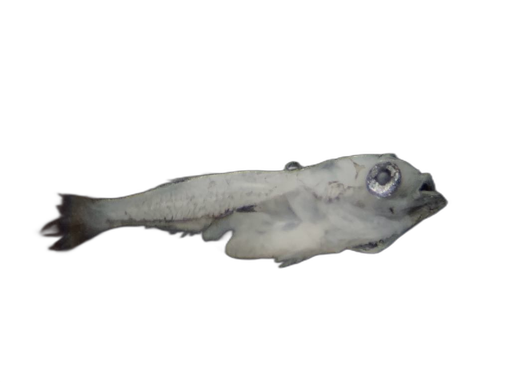 Specimen image