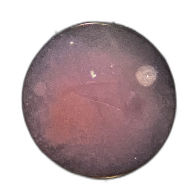 Specimen image