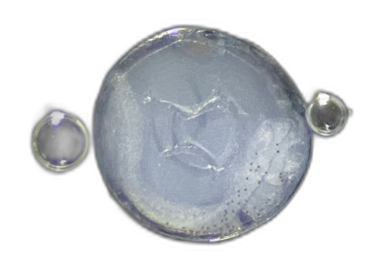 Specimen image