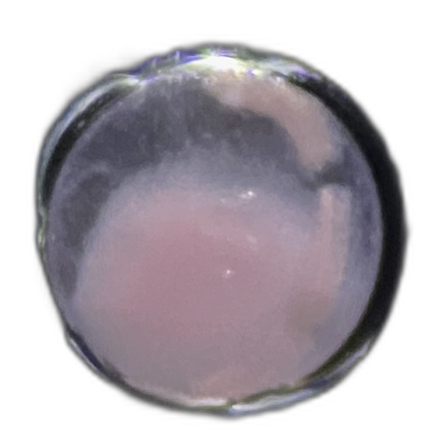 Specimen image