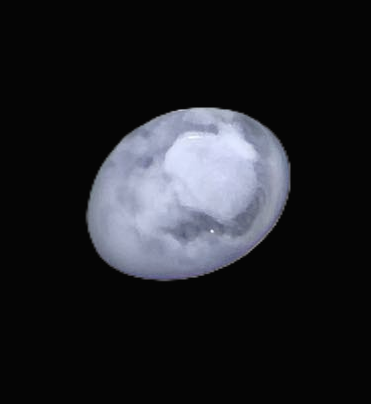 Specimen image
