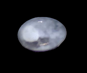 Specimen image